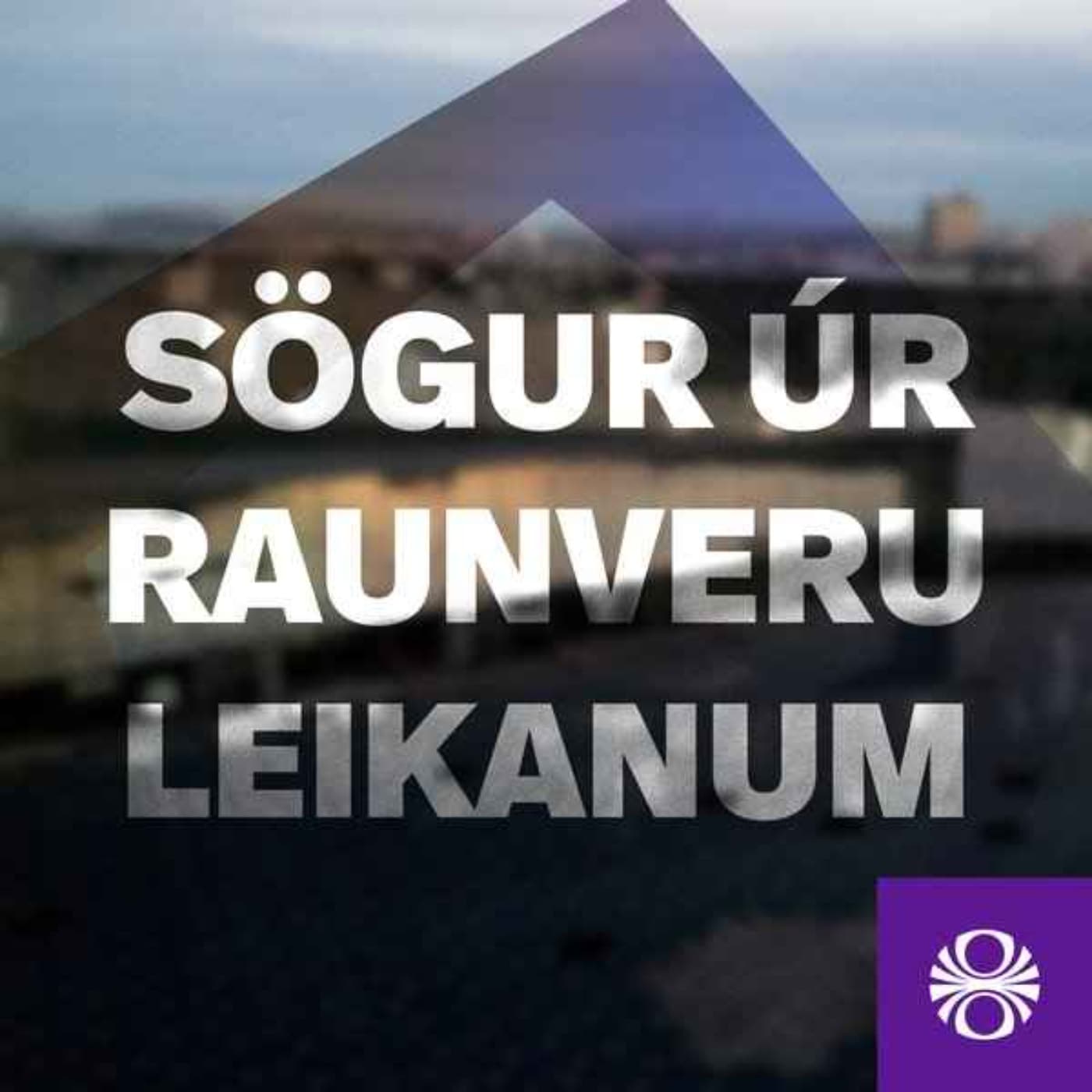 Sögur úr raunveruleikanum cover